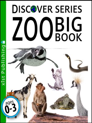 cover image of Zoo Big Book
